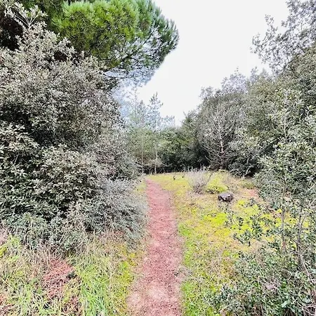 Maison De La Pinede, Acces Direct Foret Et Σπίτι διακοπών Notre-Dame-de-Monts