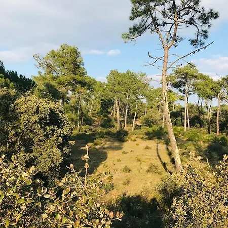 Holiday home Maison De La Pinede, Acces Direct Foret Et Notre-Dame-de-Monts